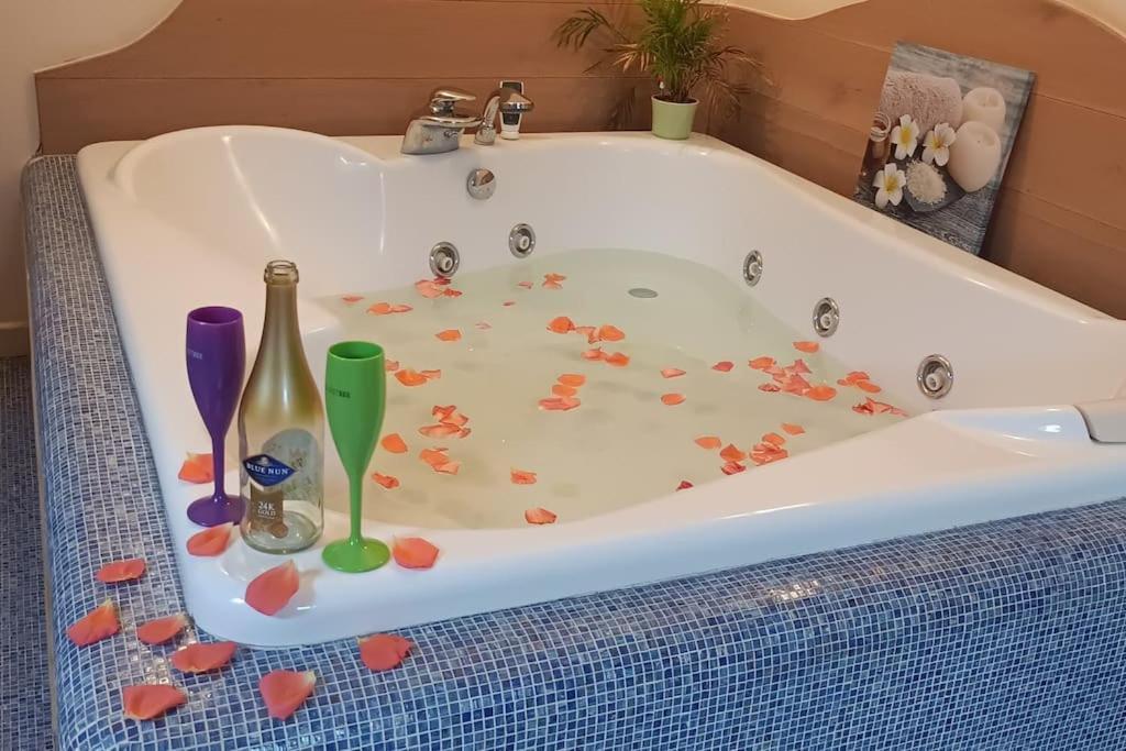 Central Terrace Escape With Jacuzzi Timișoara Zewnętrze zdjęcie