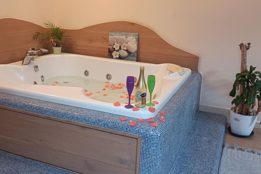 Central Terrace Escape With Jacuzzi Timișoara Zewnętrze zdjęcie