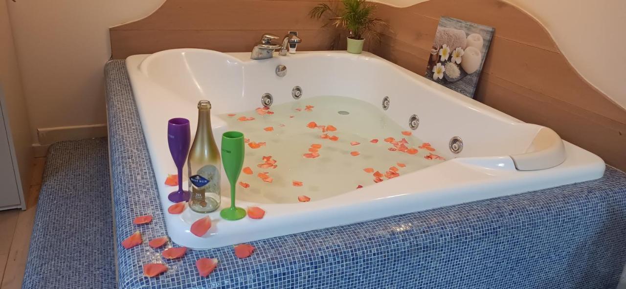 Central Terrace Escape With Jacuzzi Timișoara Zewnętrze zdjęcie