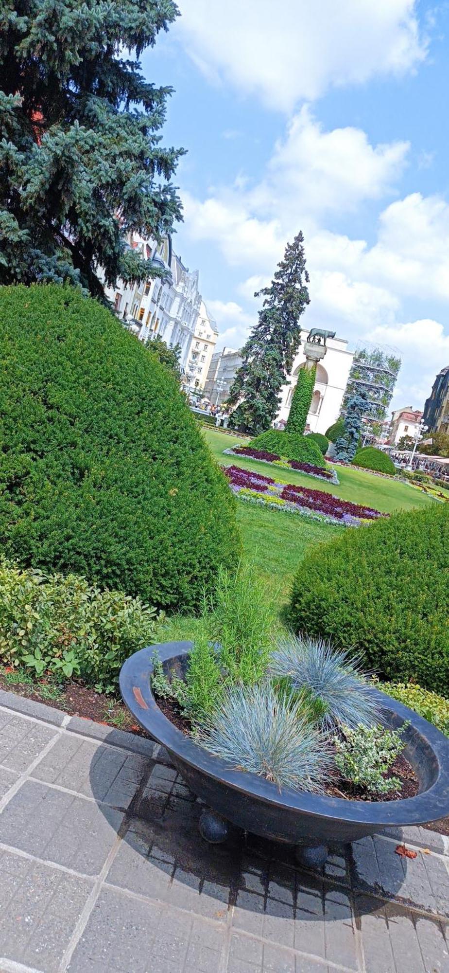 Central Terrace Escape With Jacuzzi Timișoara Zewnętrze zdjęcie