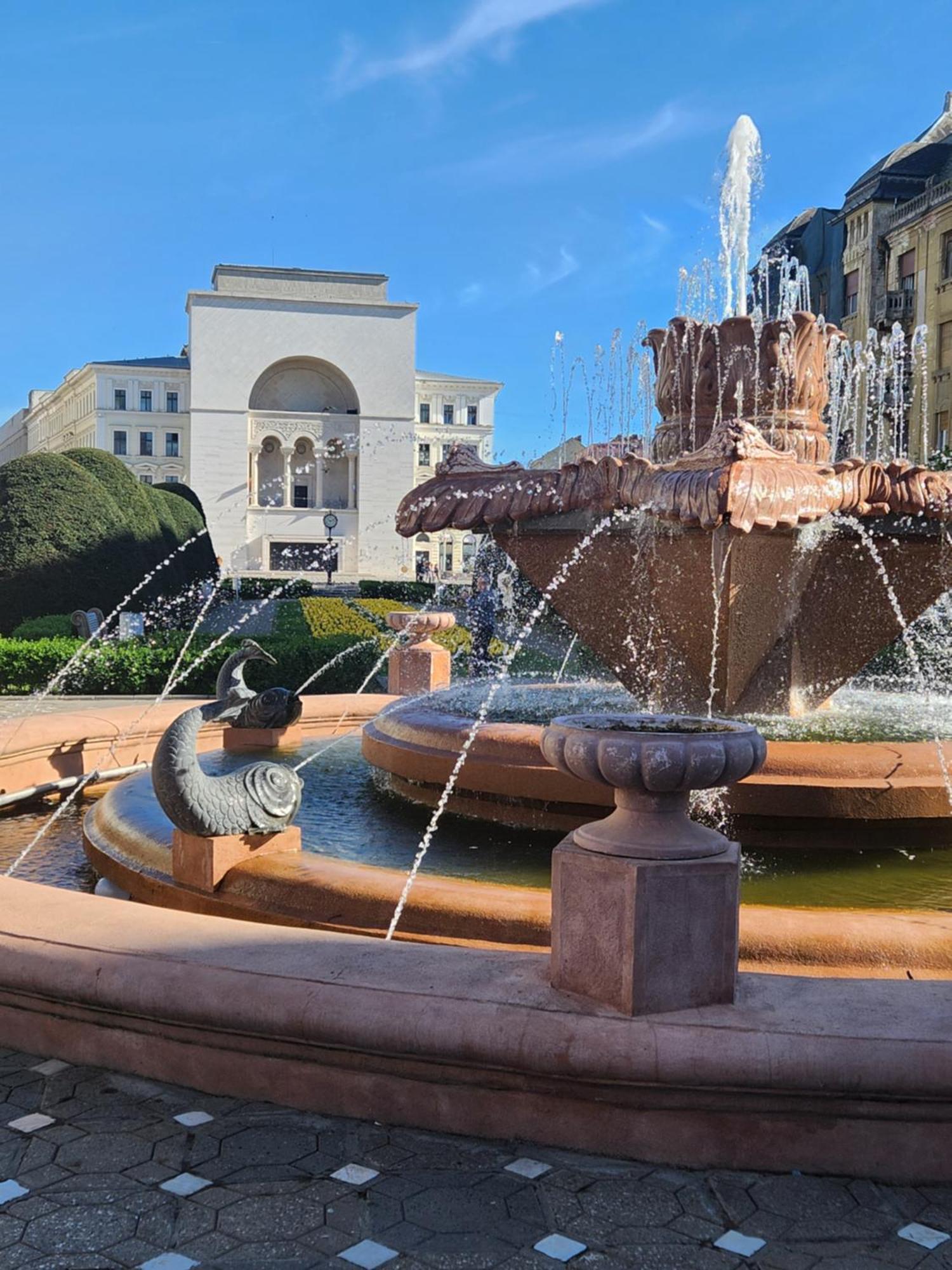 Central Terrace Escape With Jacuzzi Timișoara Zewnętrze zdjęcie