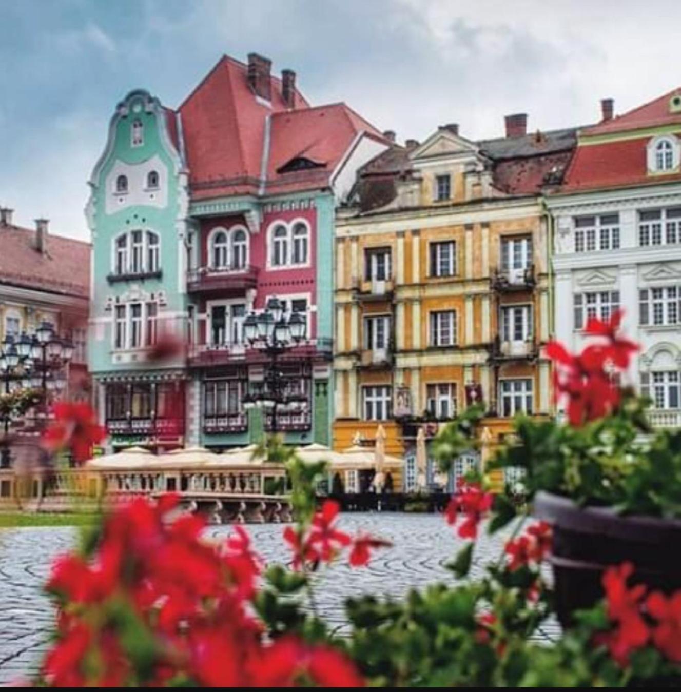Central Terrace Escape With Jacuzzi Timișoara Zewnętrze zdjęcie