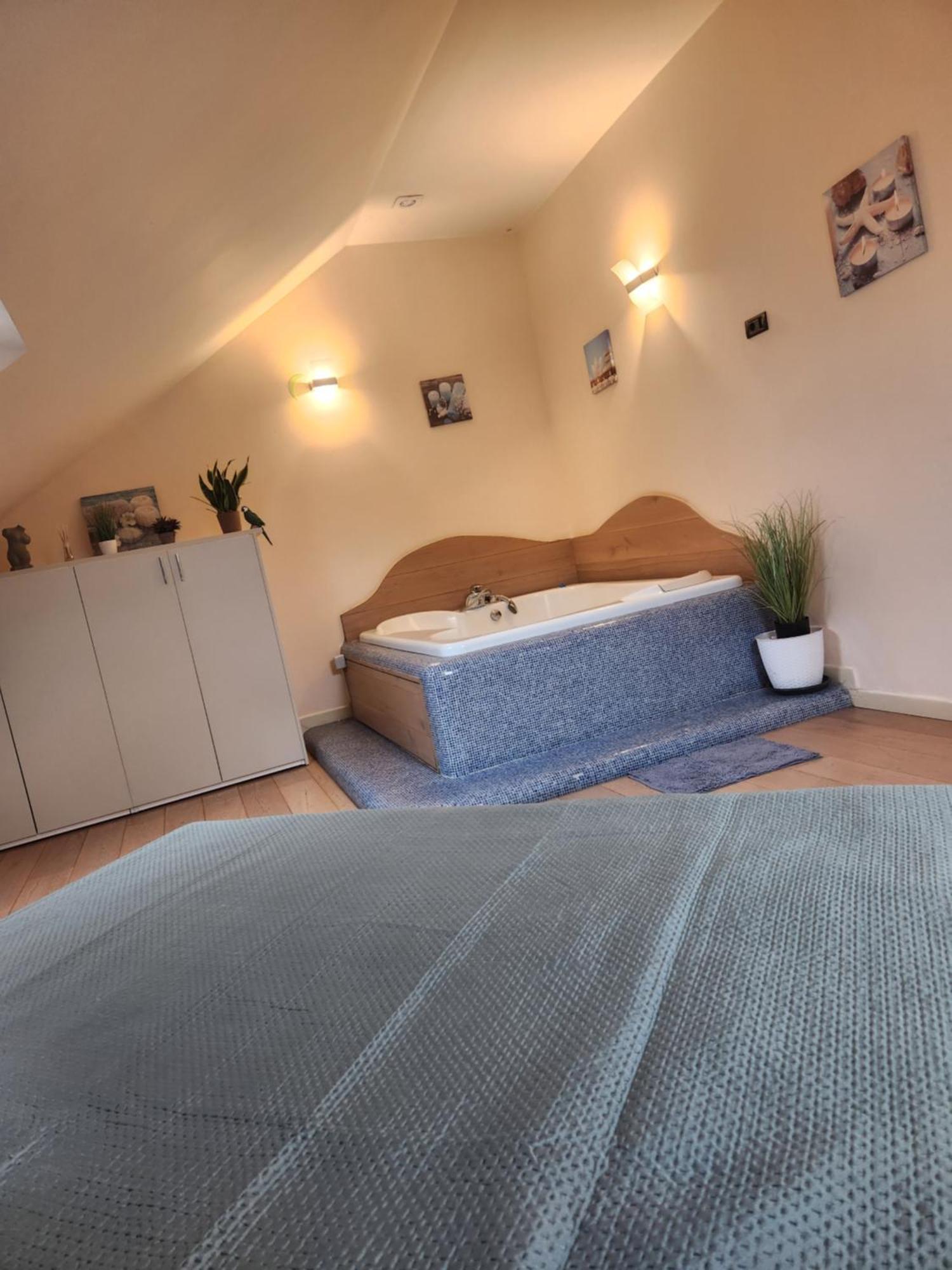 Central Terrace Escape With Jacuzzi Timișoara Zewnętrze zdjęcie