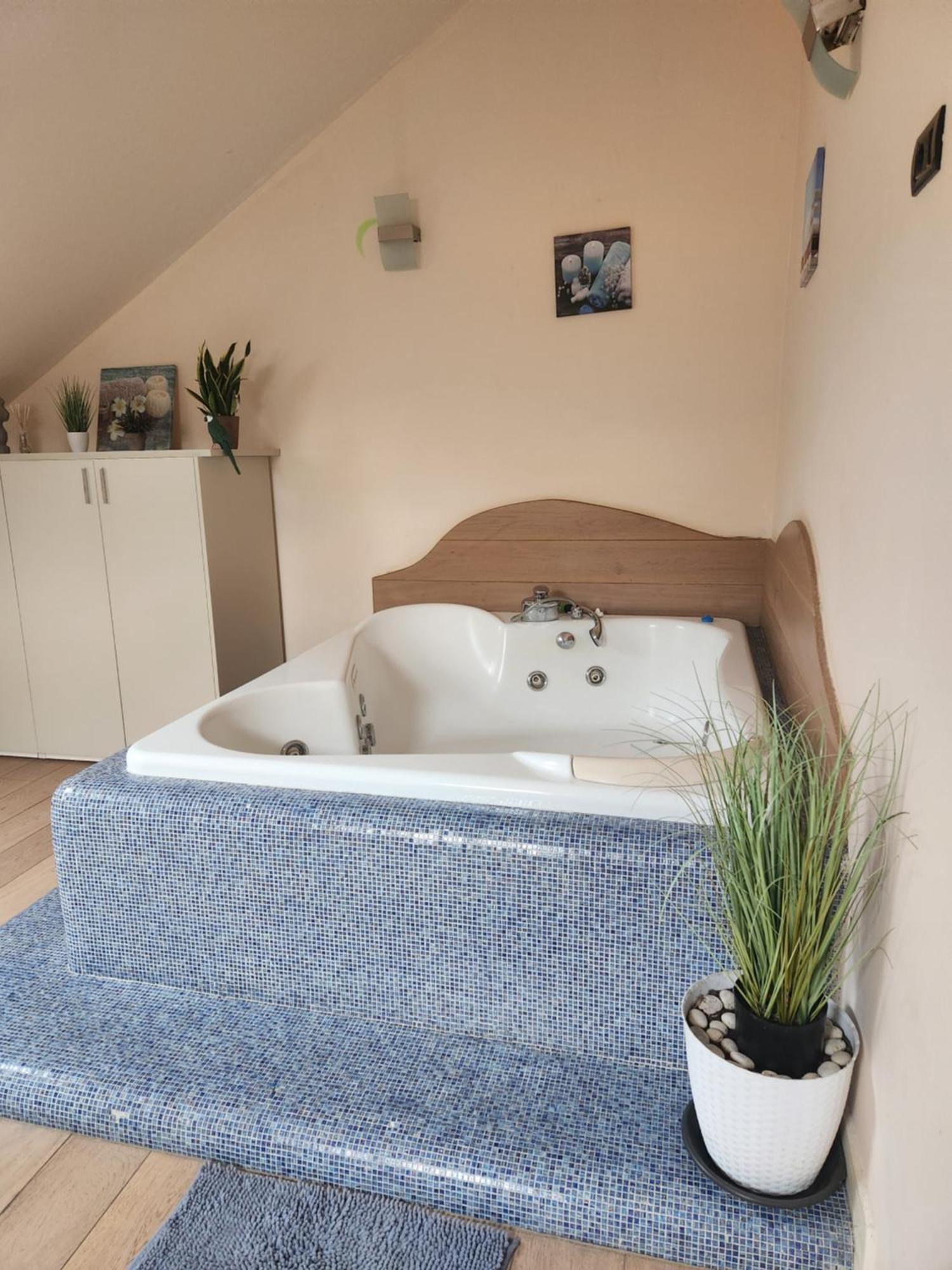 Central Terrace Escape With Jacuzzi Timișoara Zewnętrze zdjęcie