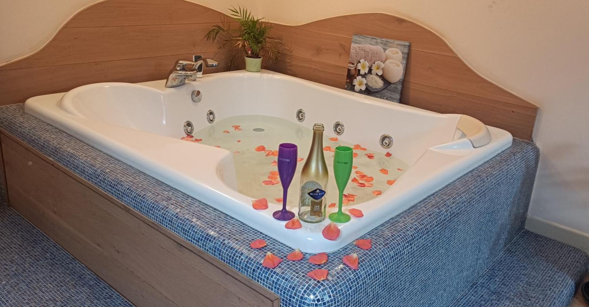 Central Terrace Escape With Jacuzzi Timișoara Zewnętrze zdjęcie